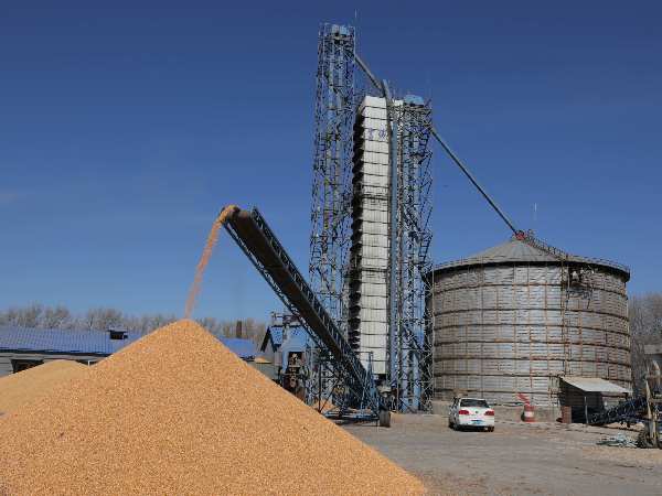 燒煤改燒秸稈大包直燃熱風(fēng)爐，烘干成本省一半