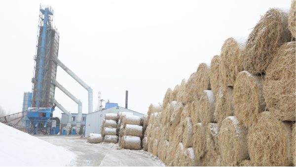 煤炭?jī)r(jià)格高，烘糧利潤(rùn)低，吉林大安市500噸糧食烘干塔改用秸稈大包直燃鍋爐，每天省3萬(wàn)