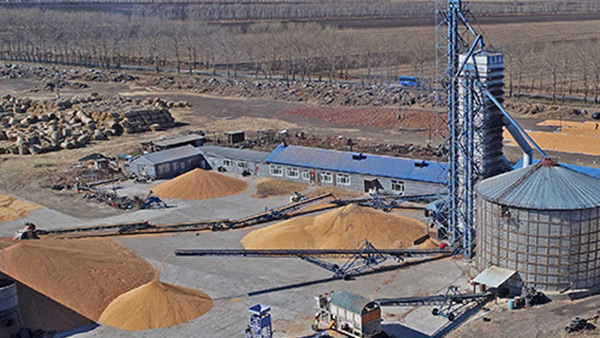 糧食烘干合作社如何做到年節(jié)省90萬元？利民萬佳鍋爐為您解析